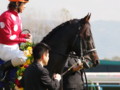 [20101120][競馬][京都競馬場][京都競馬場20101120][ローレルゲレイロ]