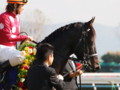 [20101120][競馬][京都競馬場][京都競馬場20101120][ローレルゲレイロ]