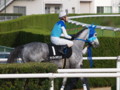 [20101120][競馬][京都競馬場][京都競馬場20101120]PB200025.JPG