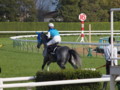 [20101120][競馬][京都競馬場][京都競馬場20101120]PB200026.JPG