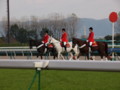 [20101120][競馬][京都競馬場][京都競馬場20101120]PB200028.JPG