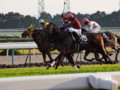 [20101120][競馬][京都競馬場][京都競馬場20101120]PB200037.JPG