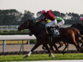 [20101120][競馬][京都競馬場][京都競馬場20101120]PB200043.JPG