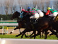 [20101120][競馬][京都競馬場][京都競馬場20101120]PB200040.JPG