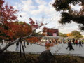 [20101120][紅葉][京都競馬場][京都競馬場20101120]DSC00744.JPG