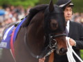 [20110501][競馬][京都競馬場][京都競馬場20110501][2011天皇賞（春）]P5010847.JPG