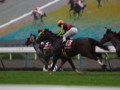 [20110528][競馬][京都競馬場][20110528京都競馬場]P5280008.JPG