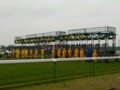 [20110528][競馬][京都競馬場][20110528京都競馬場]