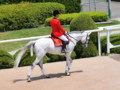 [20130526][競馬][京都競馬場][京都競馬場20130526]P5260100.JPG