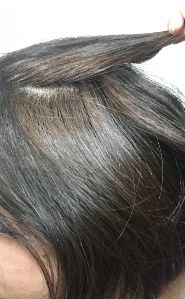 f:id:popopodisco:20190516185745j:image f:id:popopodisco:20190516185745j:image