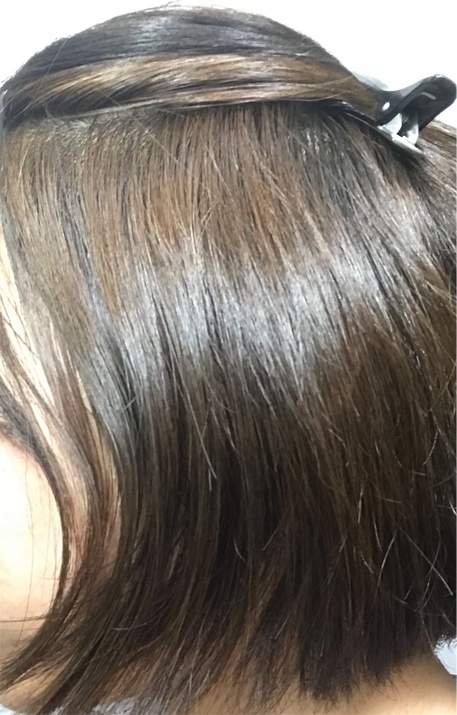 f:id:popopodisco:20190516190512j:image f:id:popopodisco:20190516190512j:image