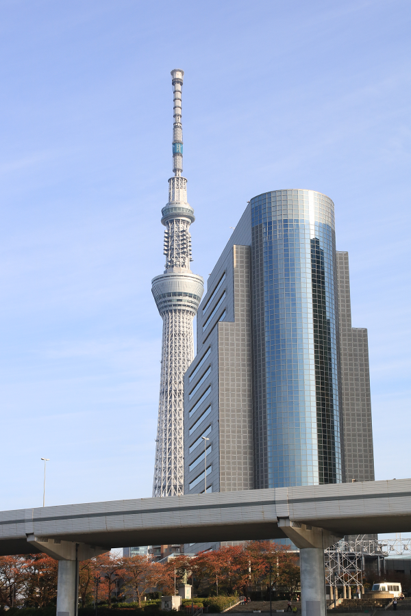 f:id:popoponzu:20201005163541p:plain f:id:popoponzu:20201005163541p:plain