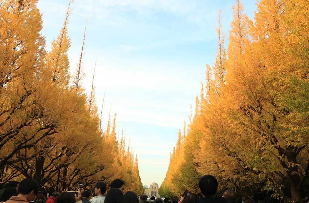 f:id:popoponzu:20201005170230p:plain f:id:popoponzu:20201005170230p:plain