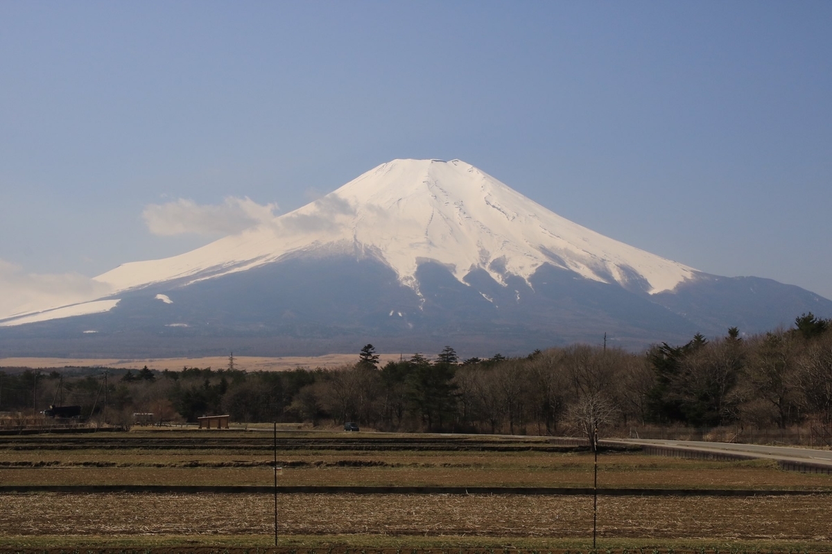 f:id:popoponzu:20201027155027j:plain f:id:popoponzu:20201027155027j:plain