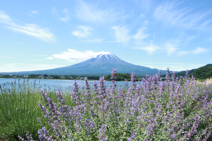 f:id:popoponzu:20201027160216p:plain f:id:popoponzu:20201027160216p:plain