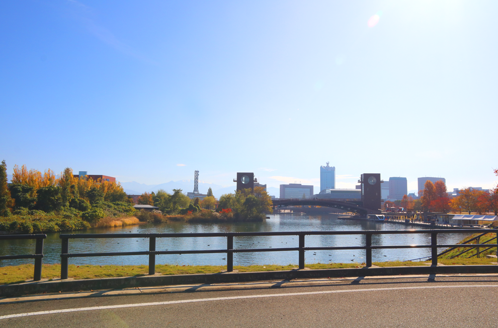 f:id:popoponzu:20201125101934p:plain