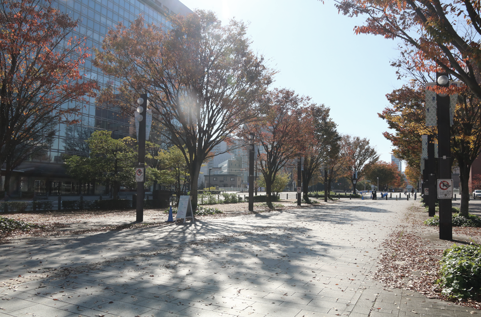f:id:popoponzu:20201125103712p:plain
