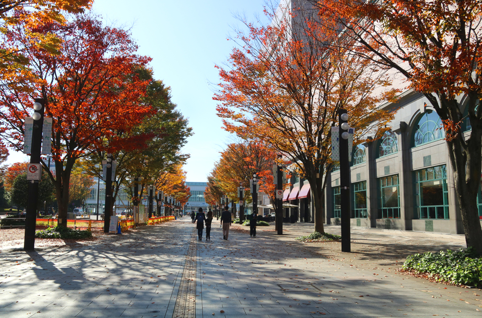 f:id:popoponzu:20201125103811p:plain