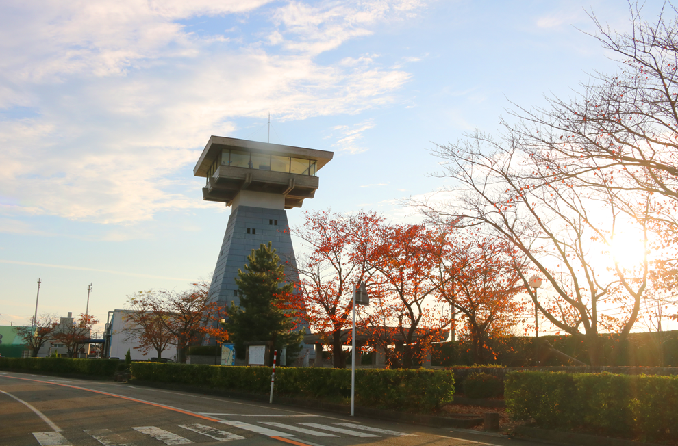 f:id:popoponzu:20201125110616p:plain