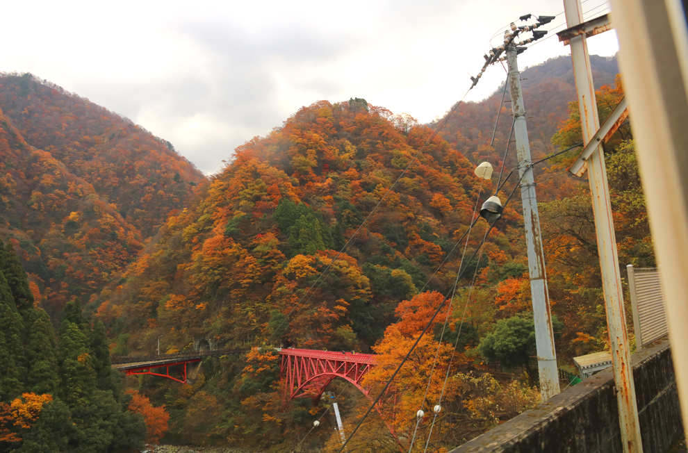 f:id:popoponzu:20201126101400p:plain