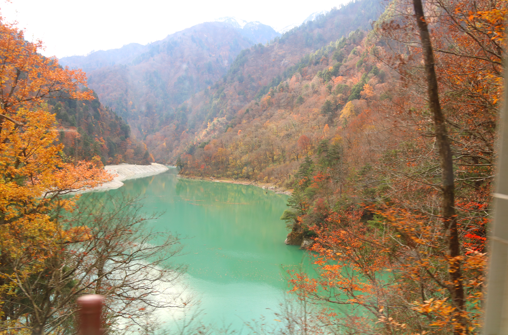 f:id:popoponzu:20201126101831p:plain