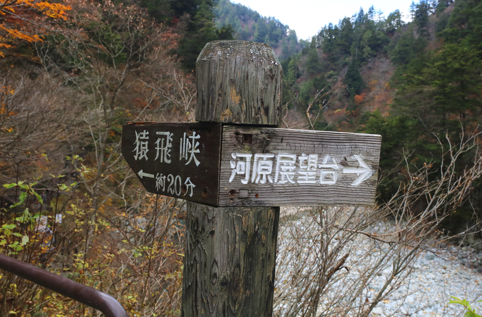 f:id:popoponzu:20201126103803p:plain