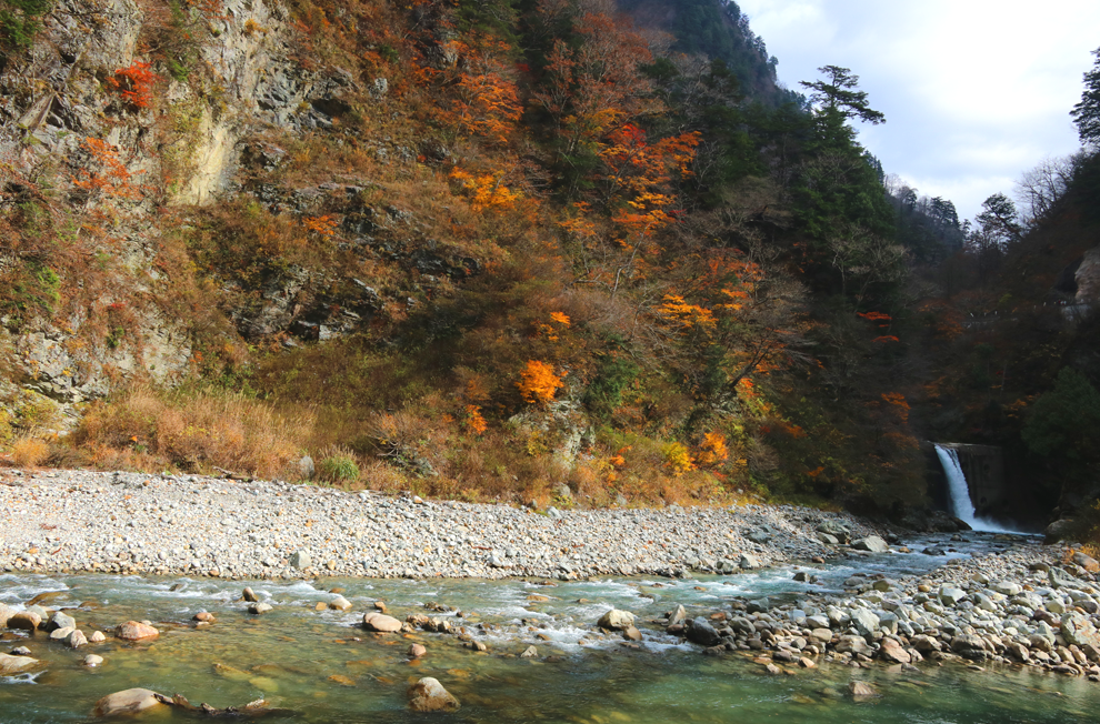 f:id:popoponzu:20201126103848p:plain