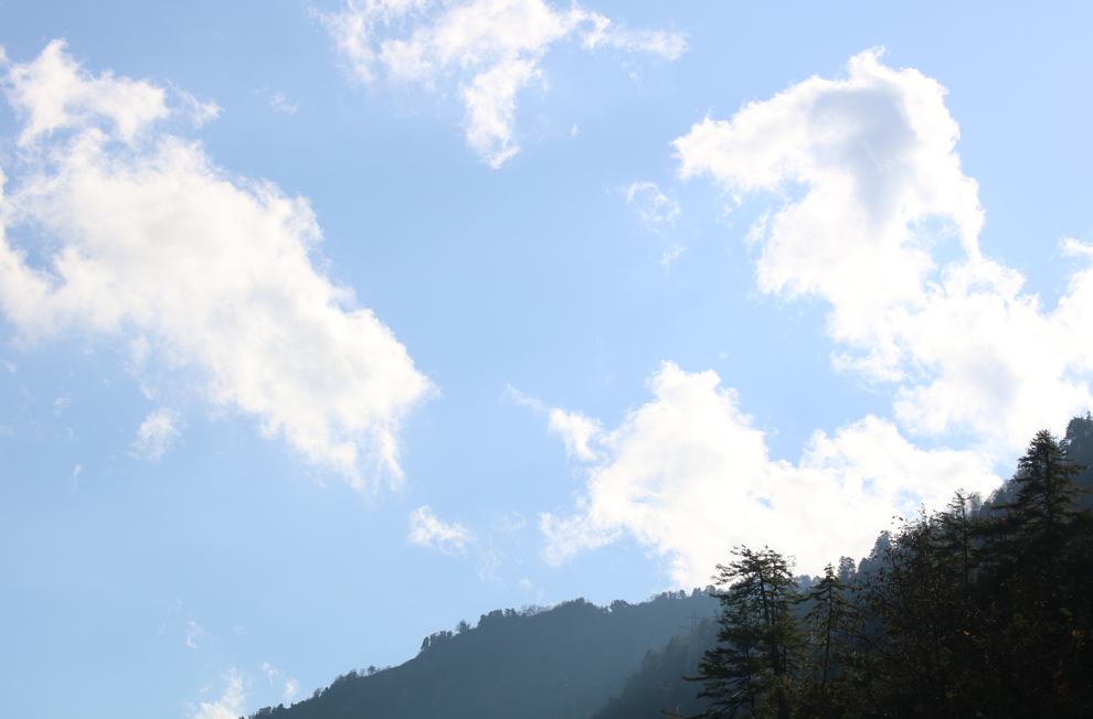 f:id:popoponzu:20201126105043p:plain