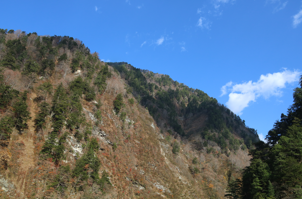f:id:popoponzu:20201126105118p:plain