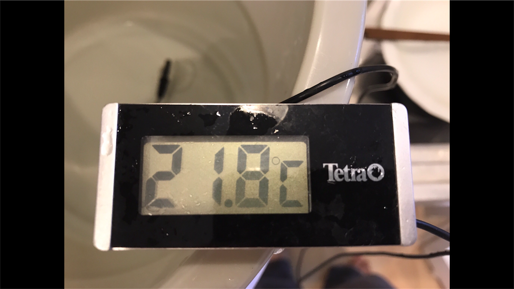 f:id:popopoppun:20180531185522p:image