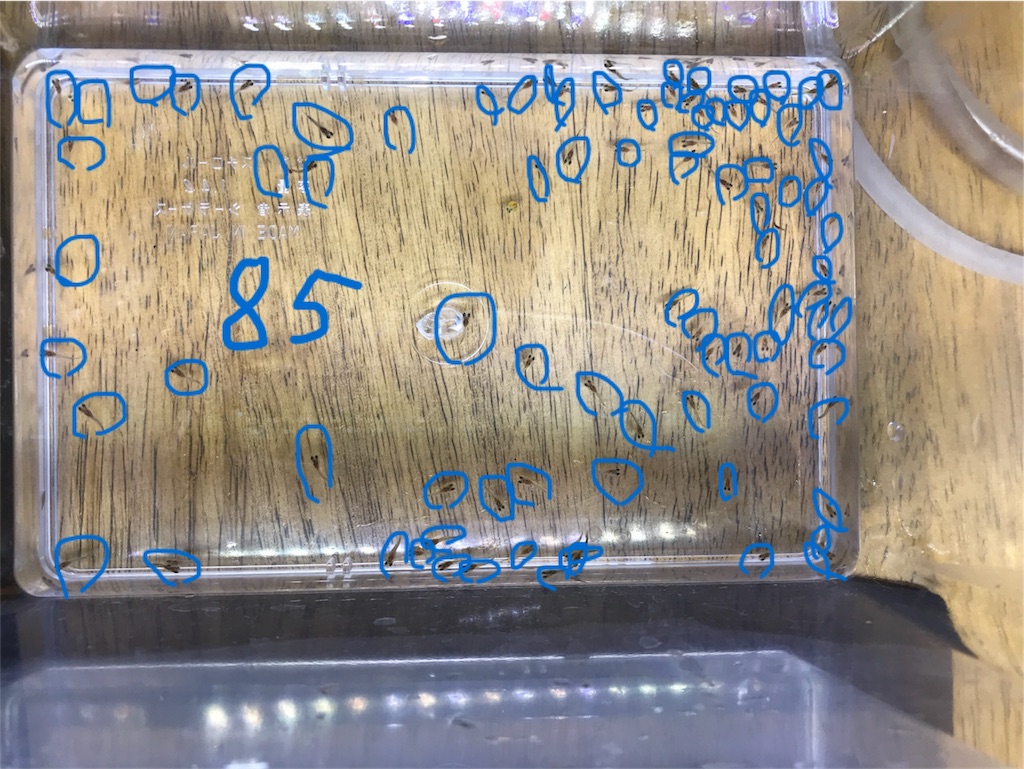 f:id:popopoppun:20180627222200j:image f:id:popopoppun:20180627222200j:image