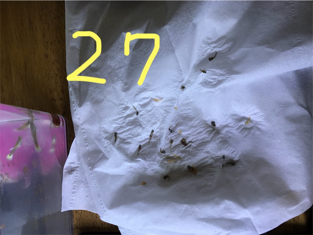 f:id:popopoppun:20180627222208j:image f:id:popopoppun:20180627222208j:image