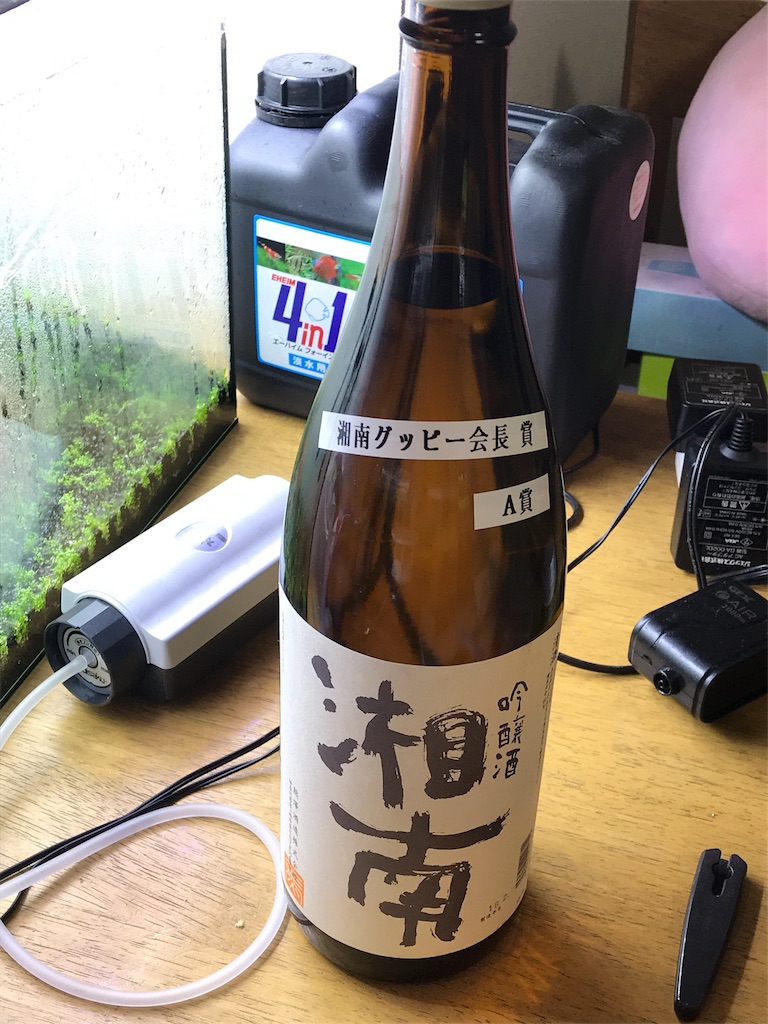 f:id:popopoppun:20180717194552j:image f:id:popopoppun:20180717194552j:image