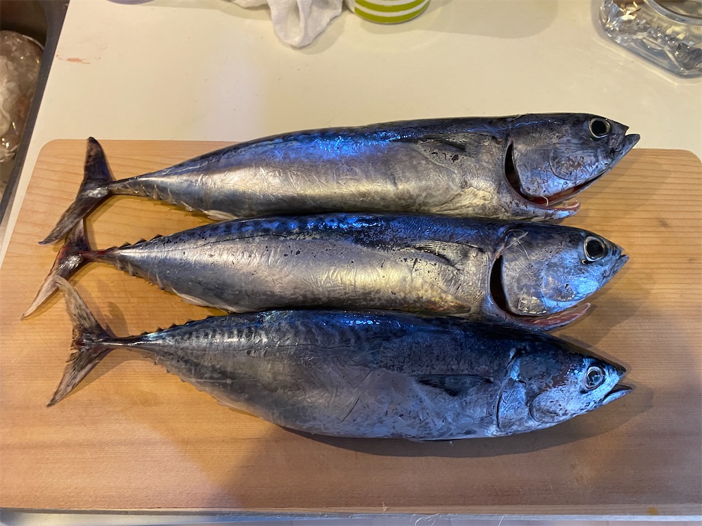 f:id:popopoppun:20201027022657j:image f:id:popopoppun:20201027022657j:image