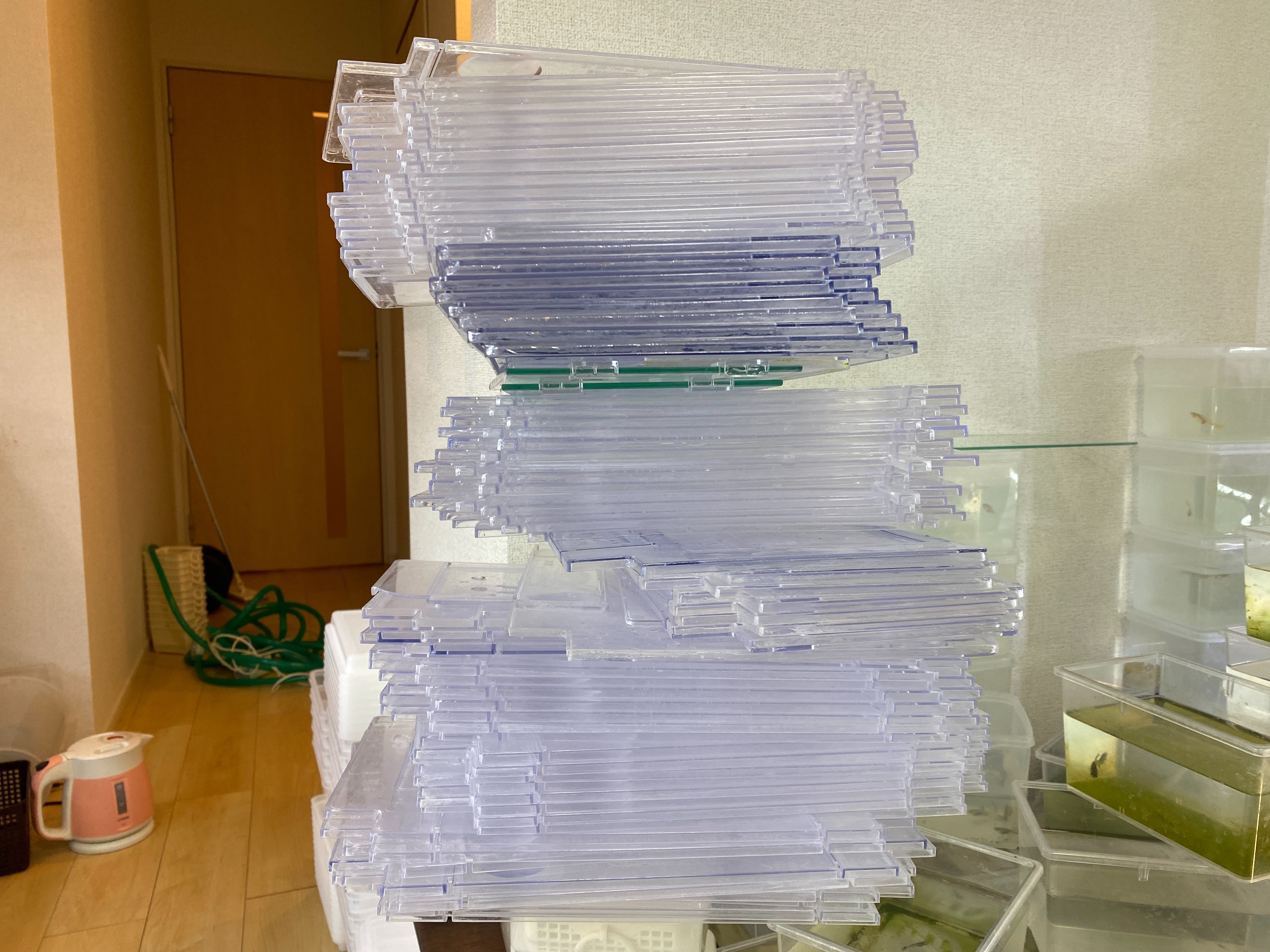 f:id:popopoppun:20210210165428j:image