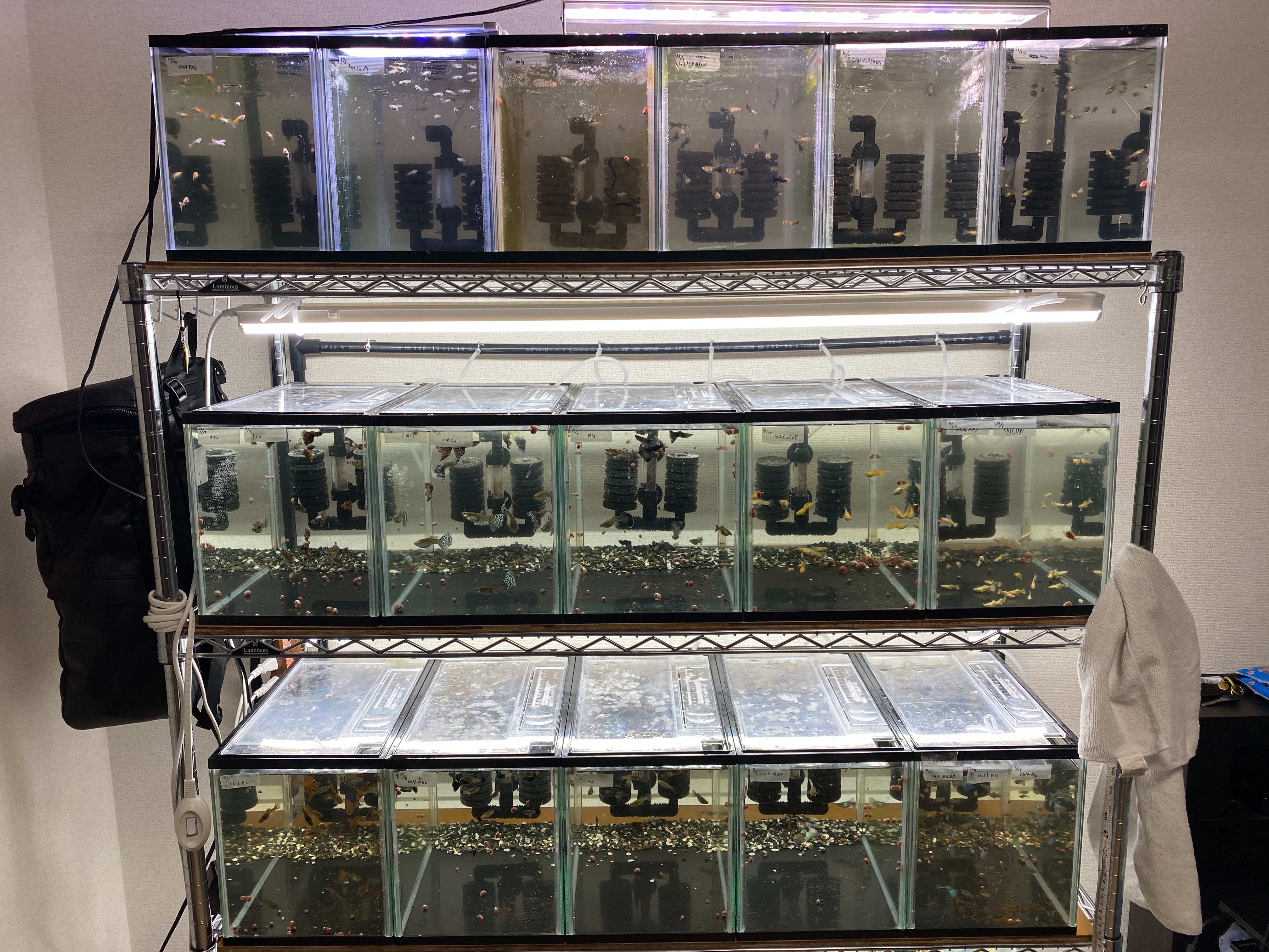 f:id:popopoppun:20210210170528j:image