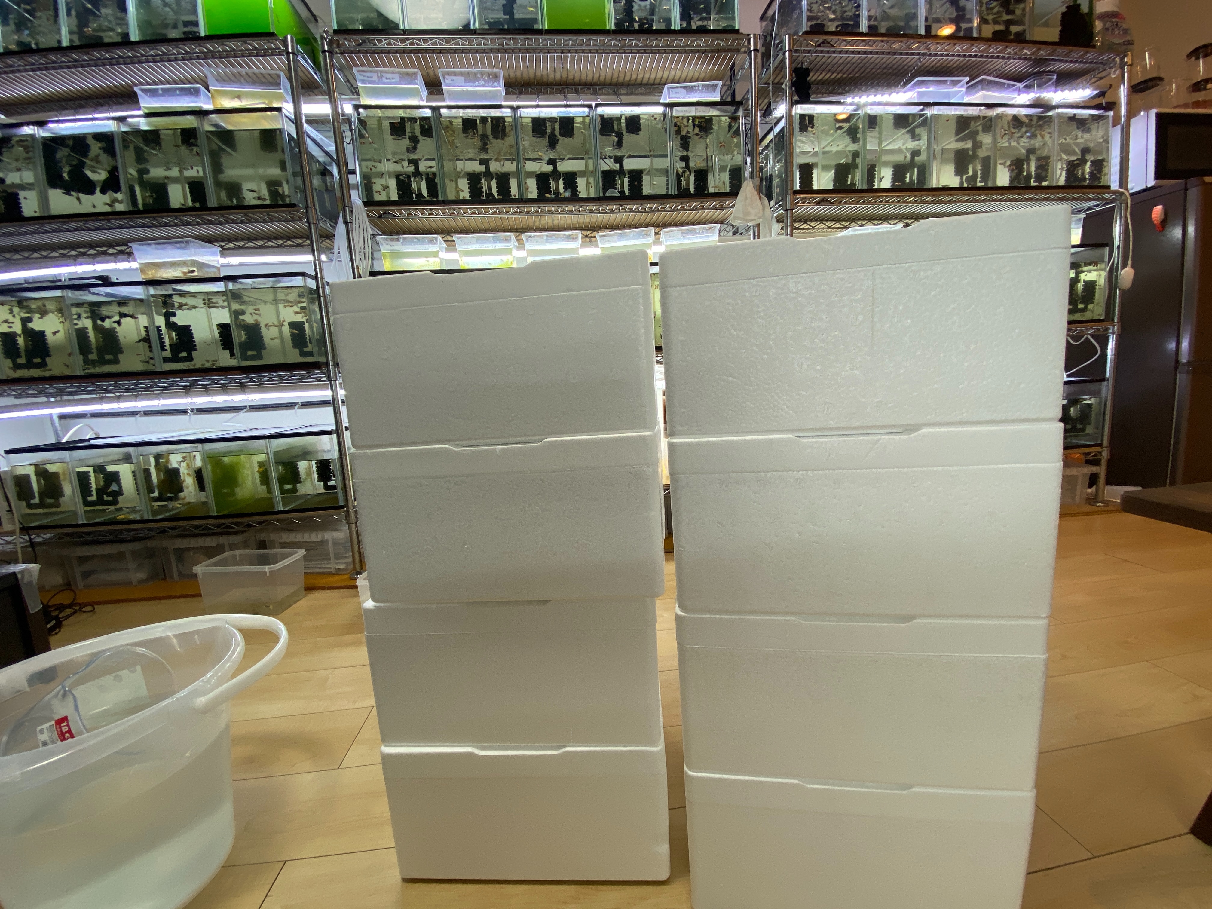 f:id:popopoppun:20210210173124j:image