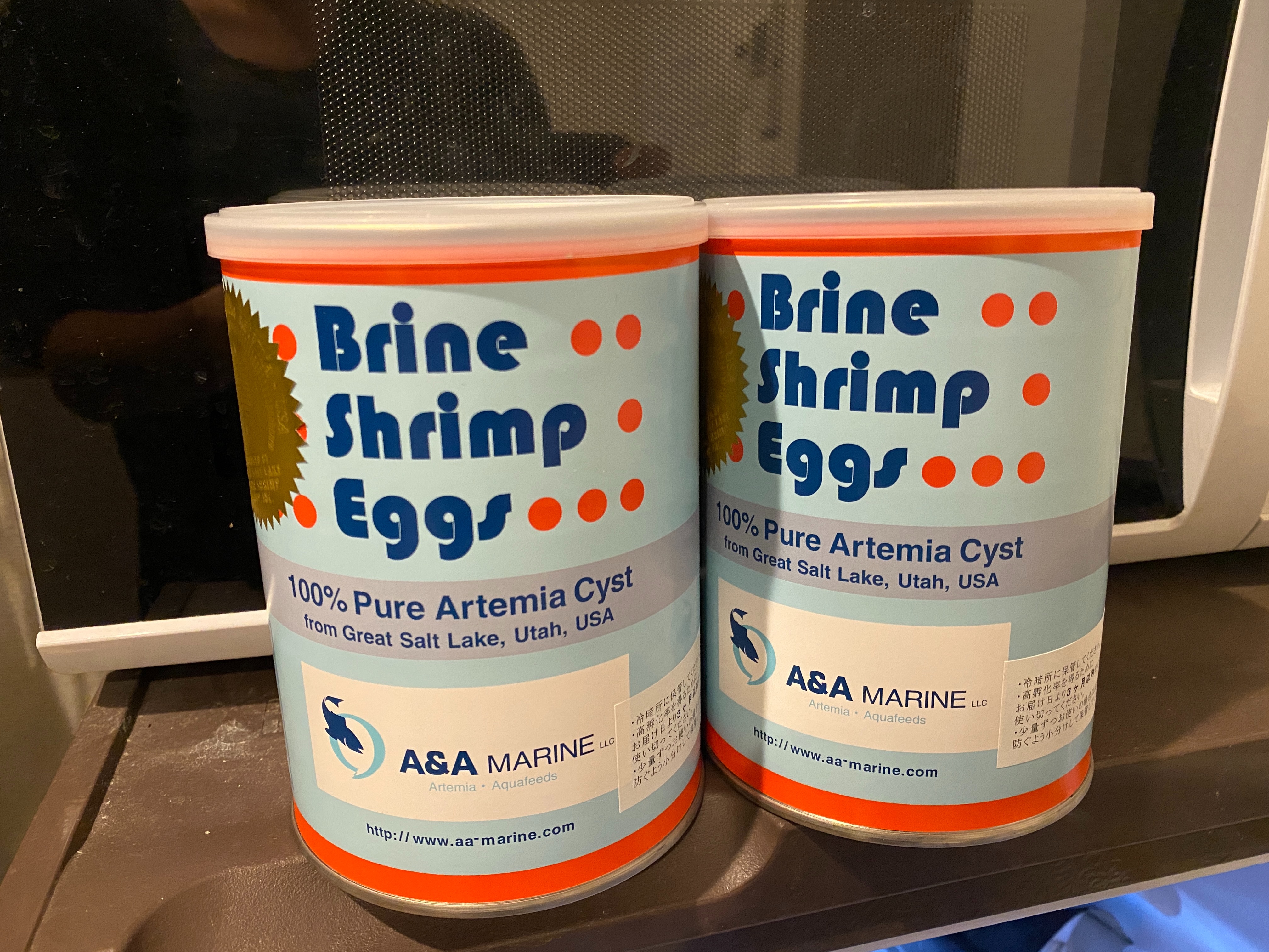 f:id:popopoppun:20210210173455j:image