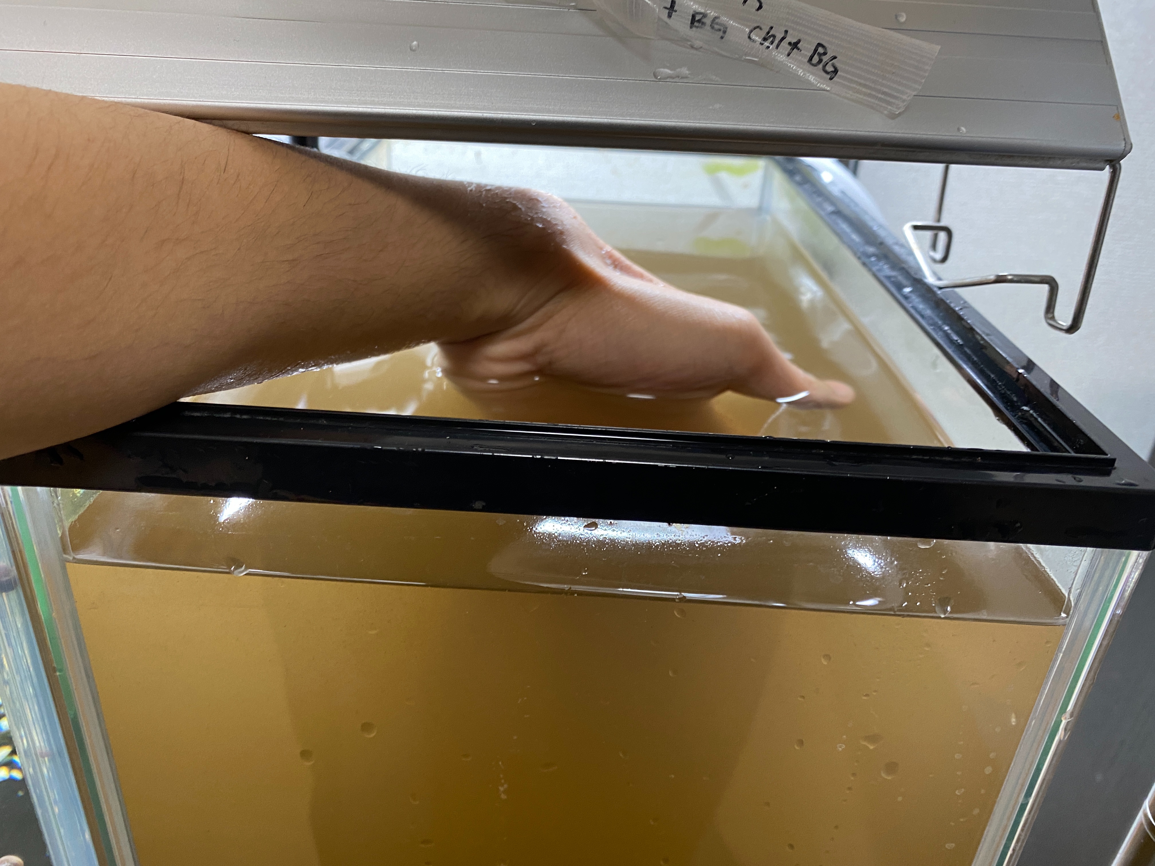 f:id:popopoppun:20210212152338j:image