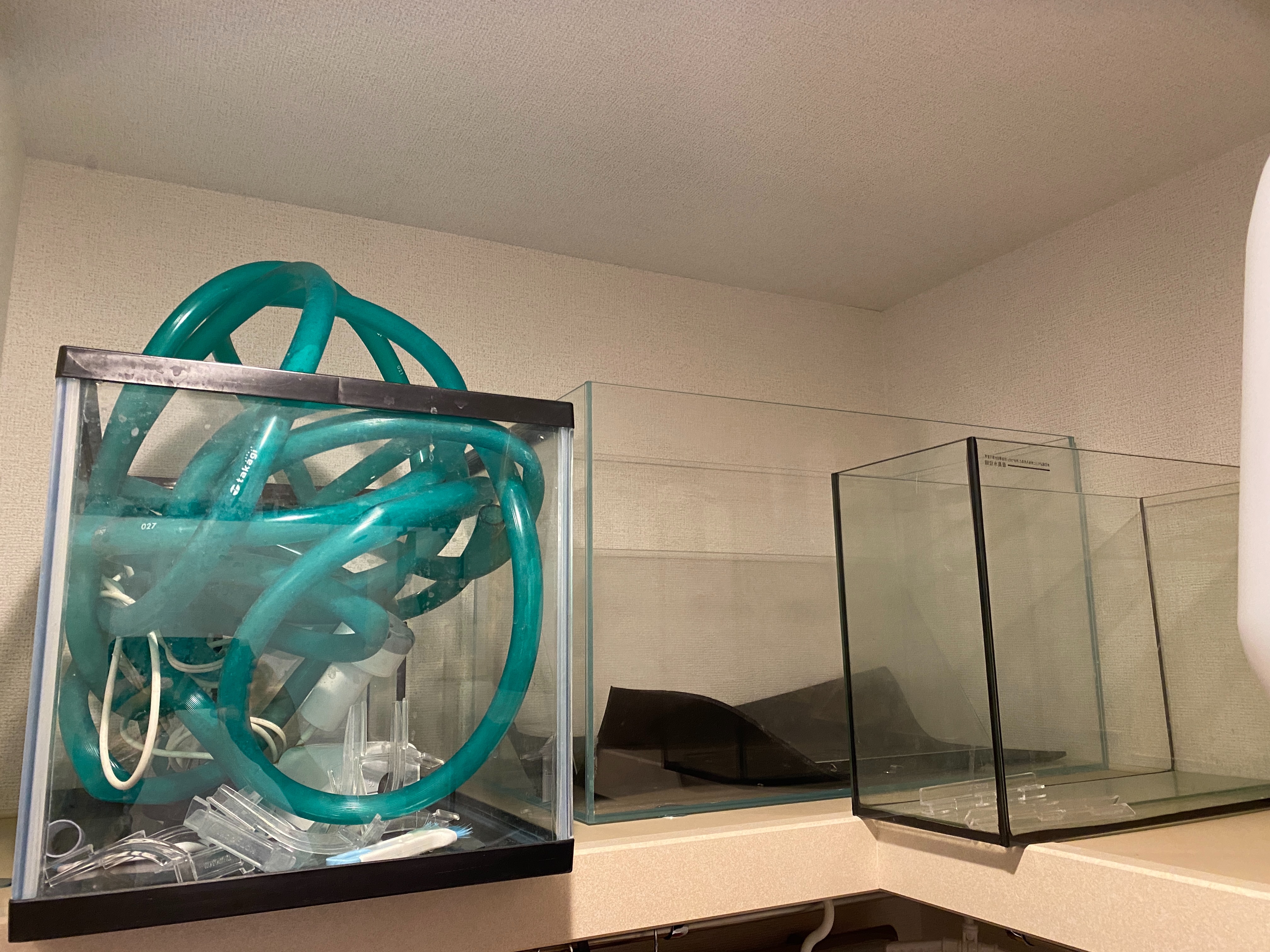 f:id:popopoppun:20210704043629j:image f:id:popopoppun:20210704043629j:image