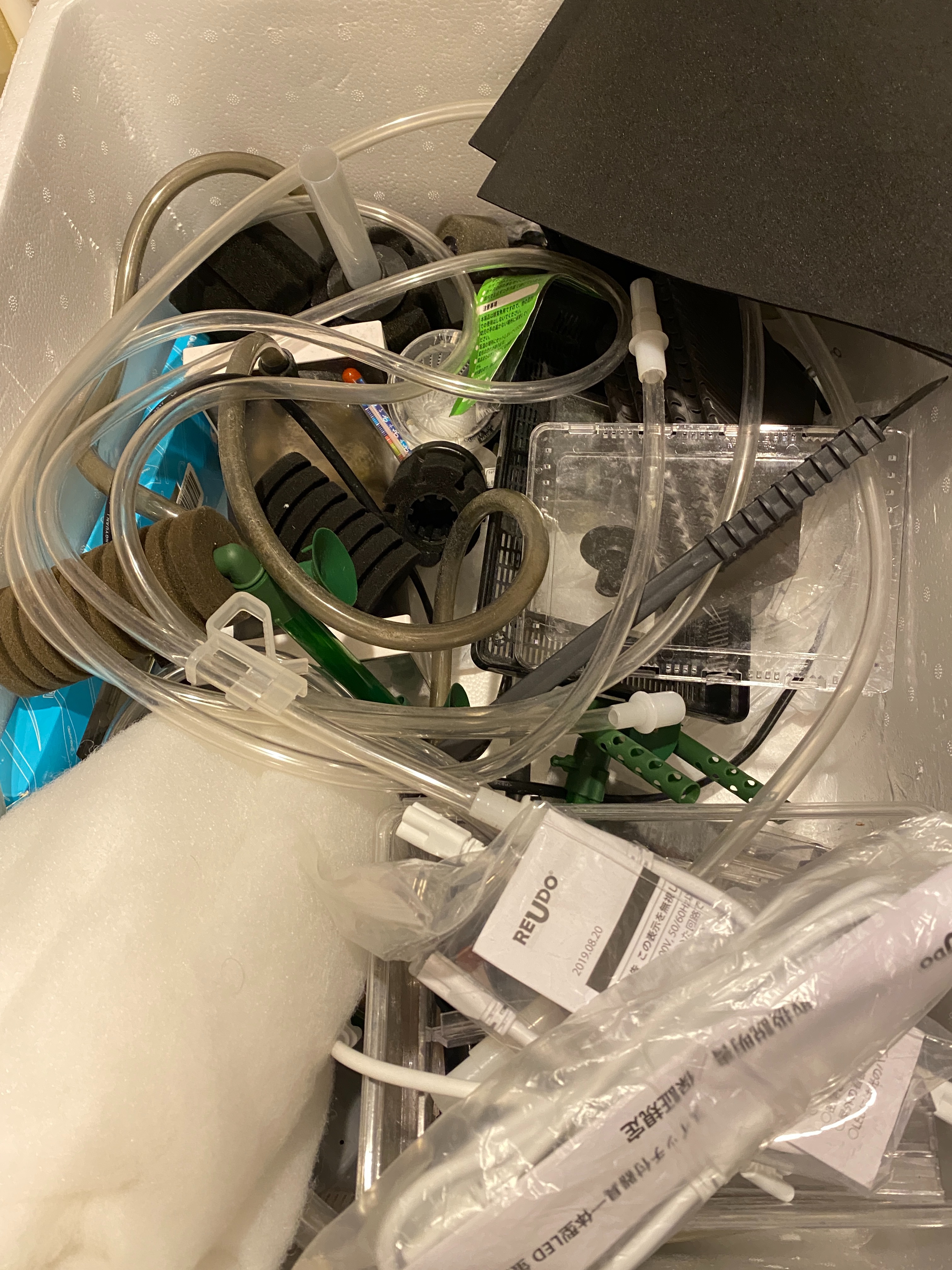 f:id:popopoppun:20210704043702j:image f:id:popopoppun:20210704043702j:image