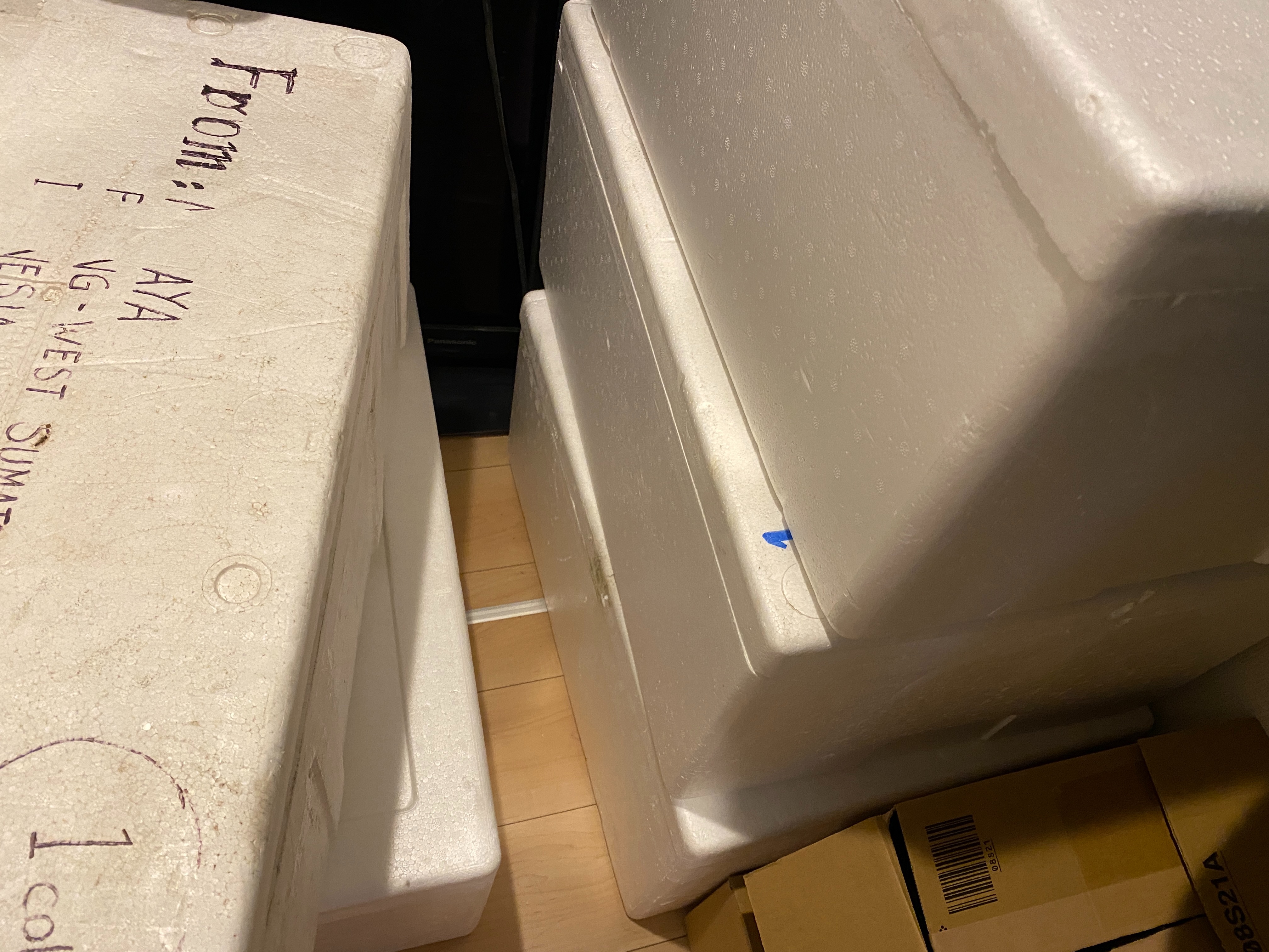 f:id:popopoppun:20210704043713j:image f:id:popopoppun:20210704043713j:image