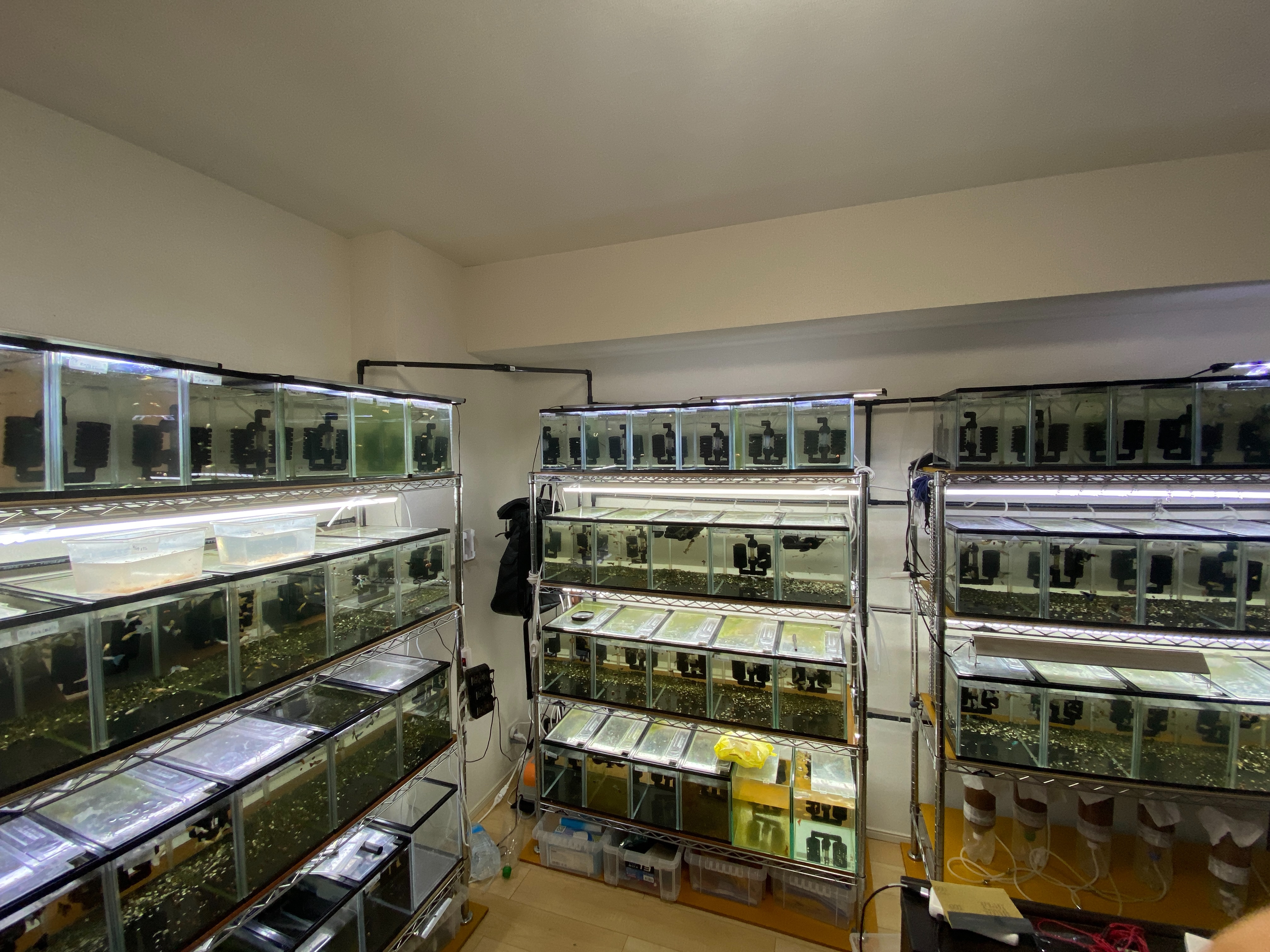 f:id:popopoppun:20210704043950j:image f:id:popopoppun:20210704043950j:image