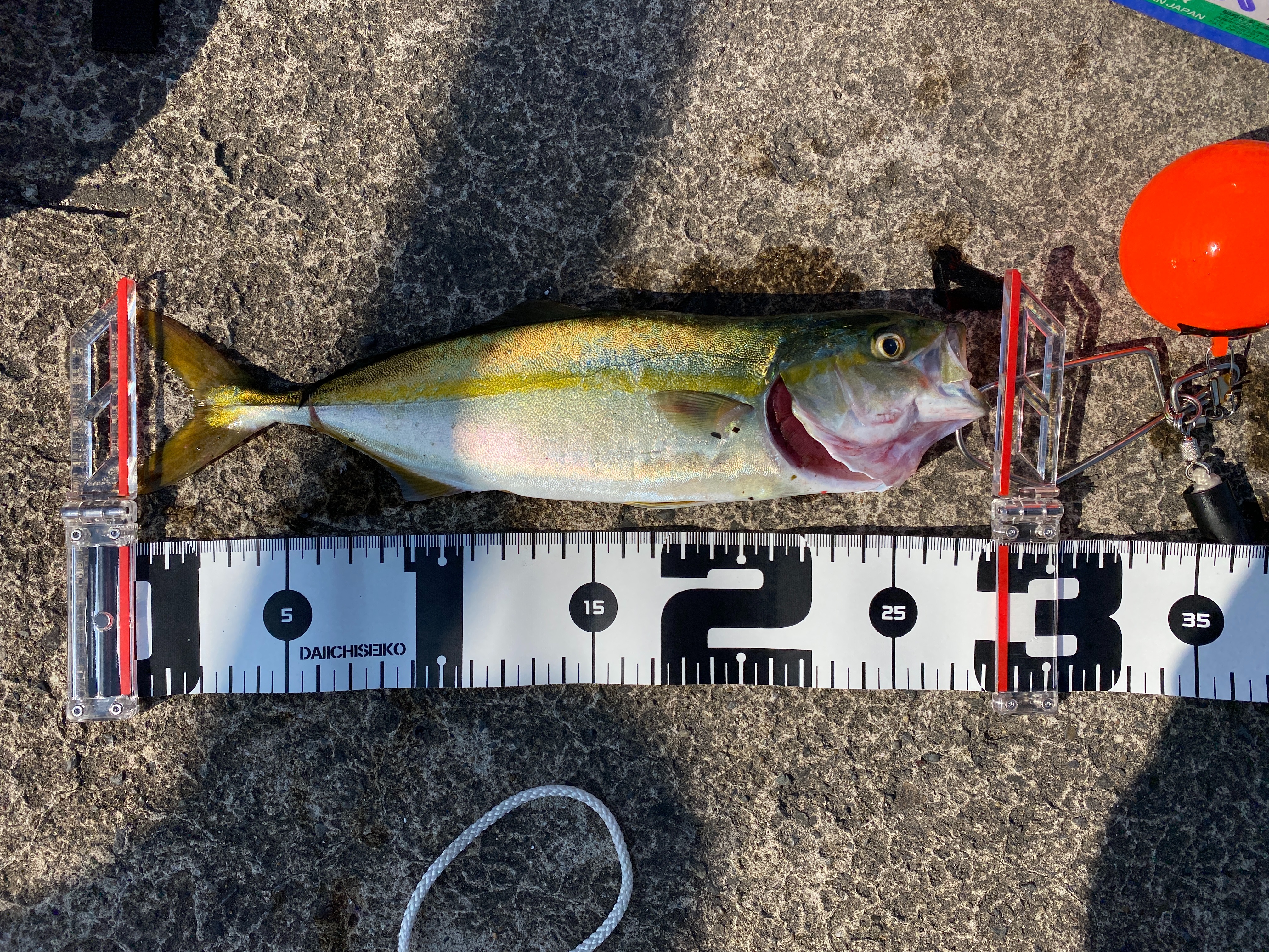 f:id:popopoppun:20210913100836j:image