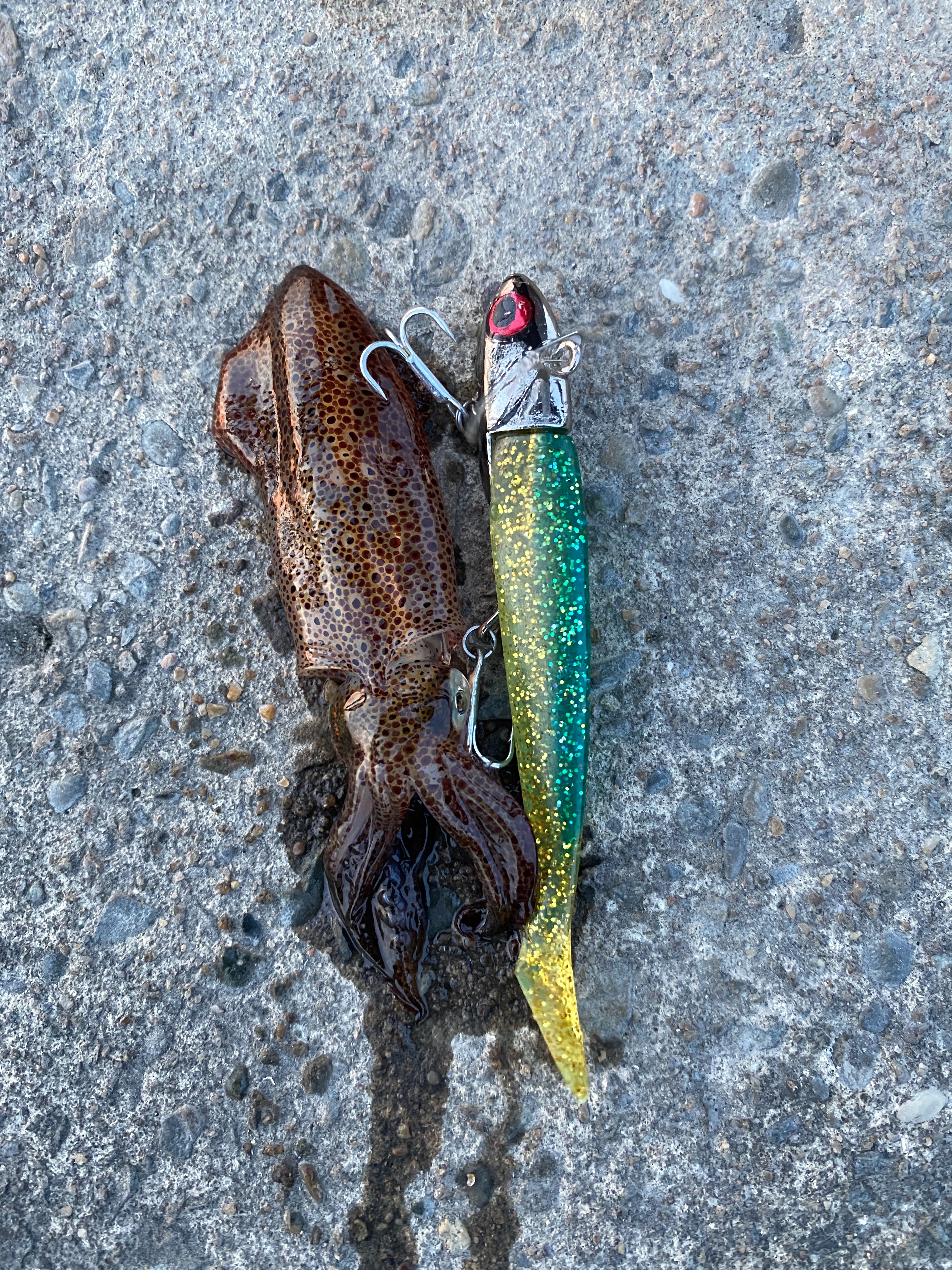 f:id:popopoppun:20210913101107j:image