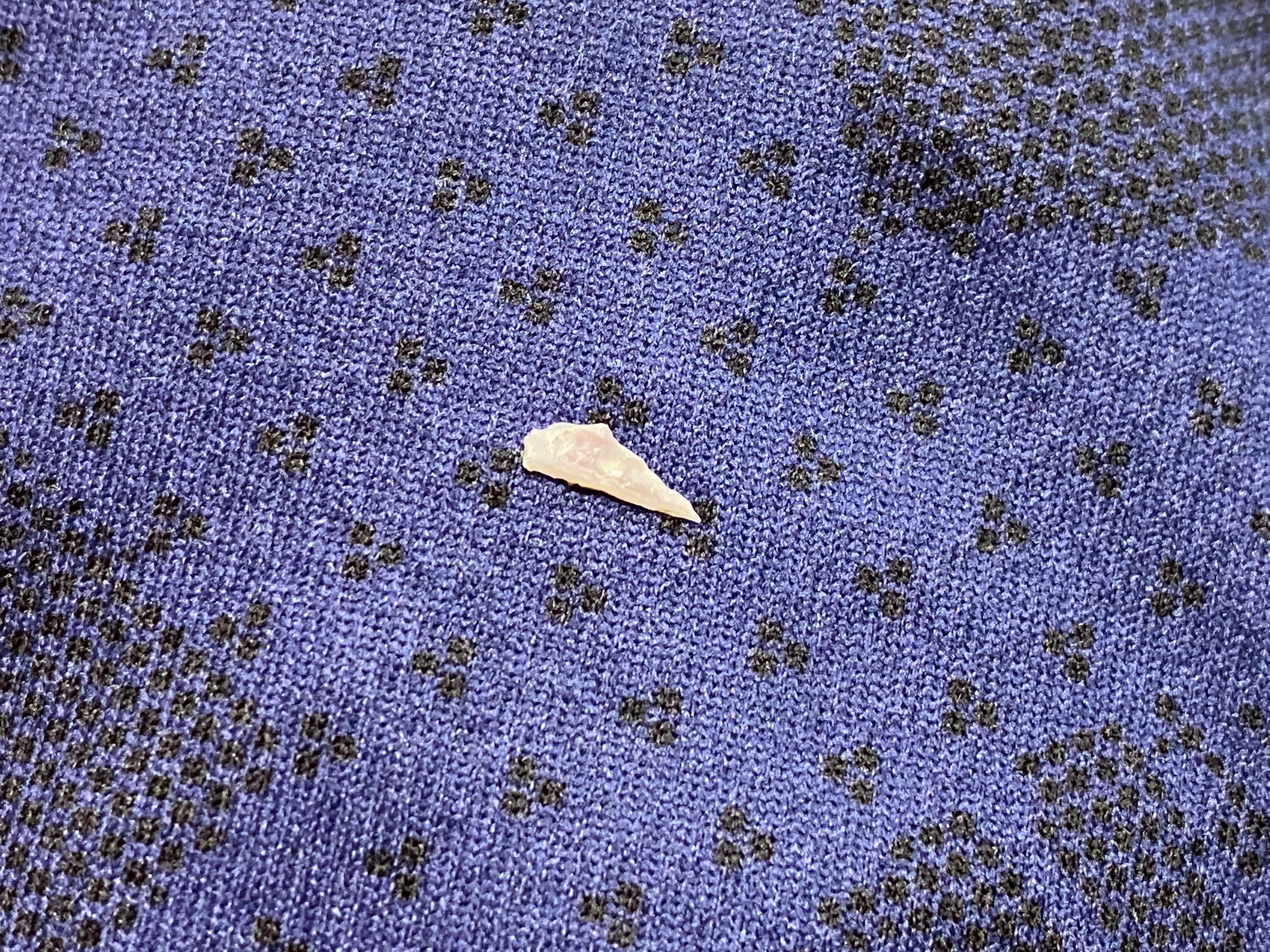 f:id:popopoppun:20211008041716j:image