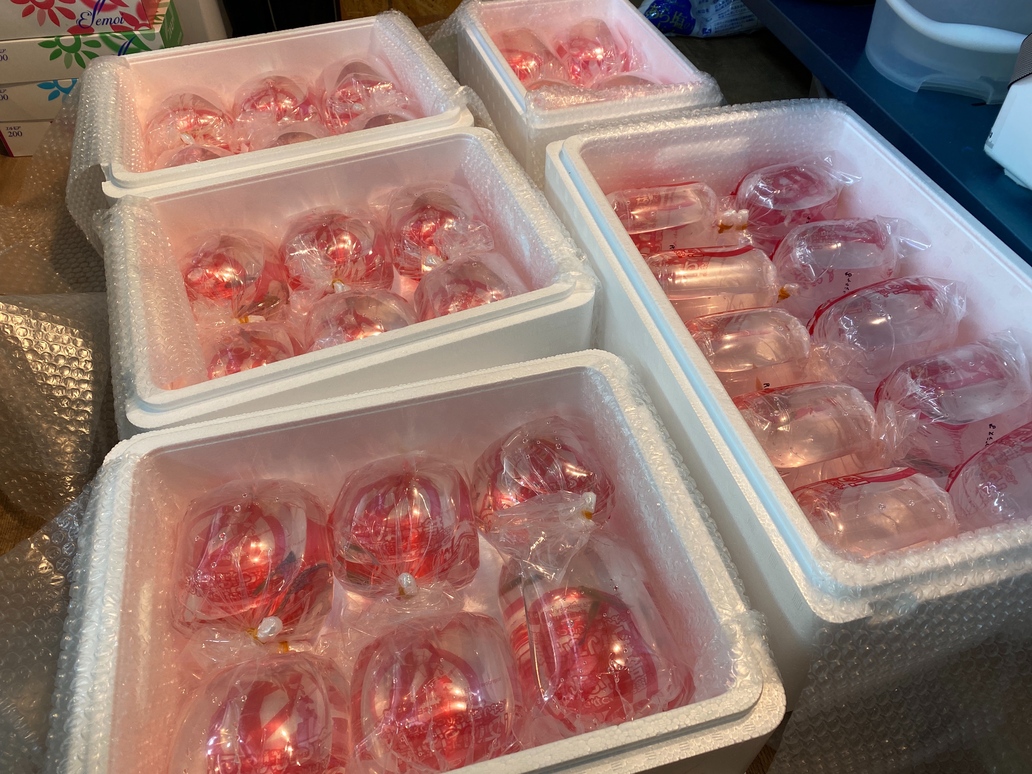 f:id:popopoppun:20221219134152j:image