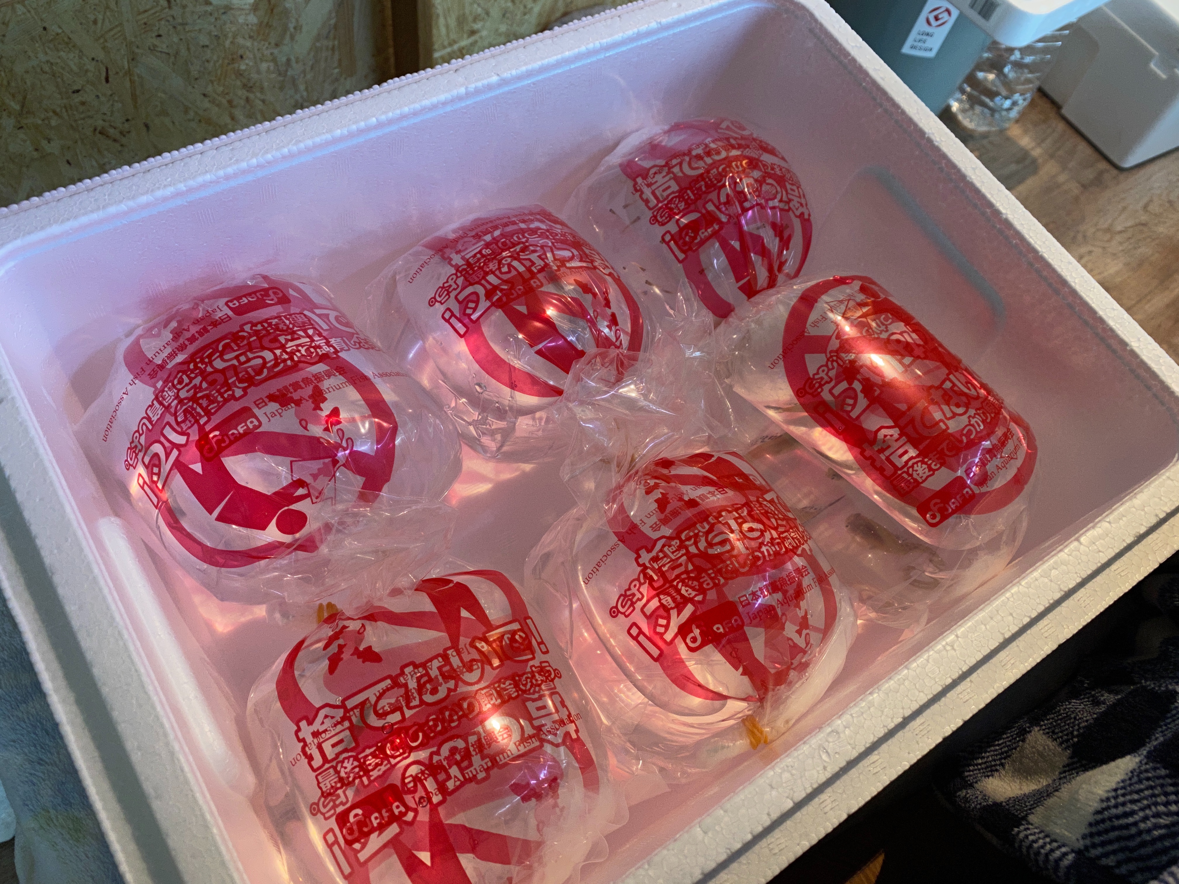 f:id:popopoppun:20221219134616j:image