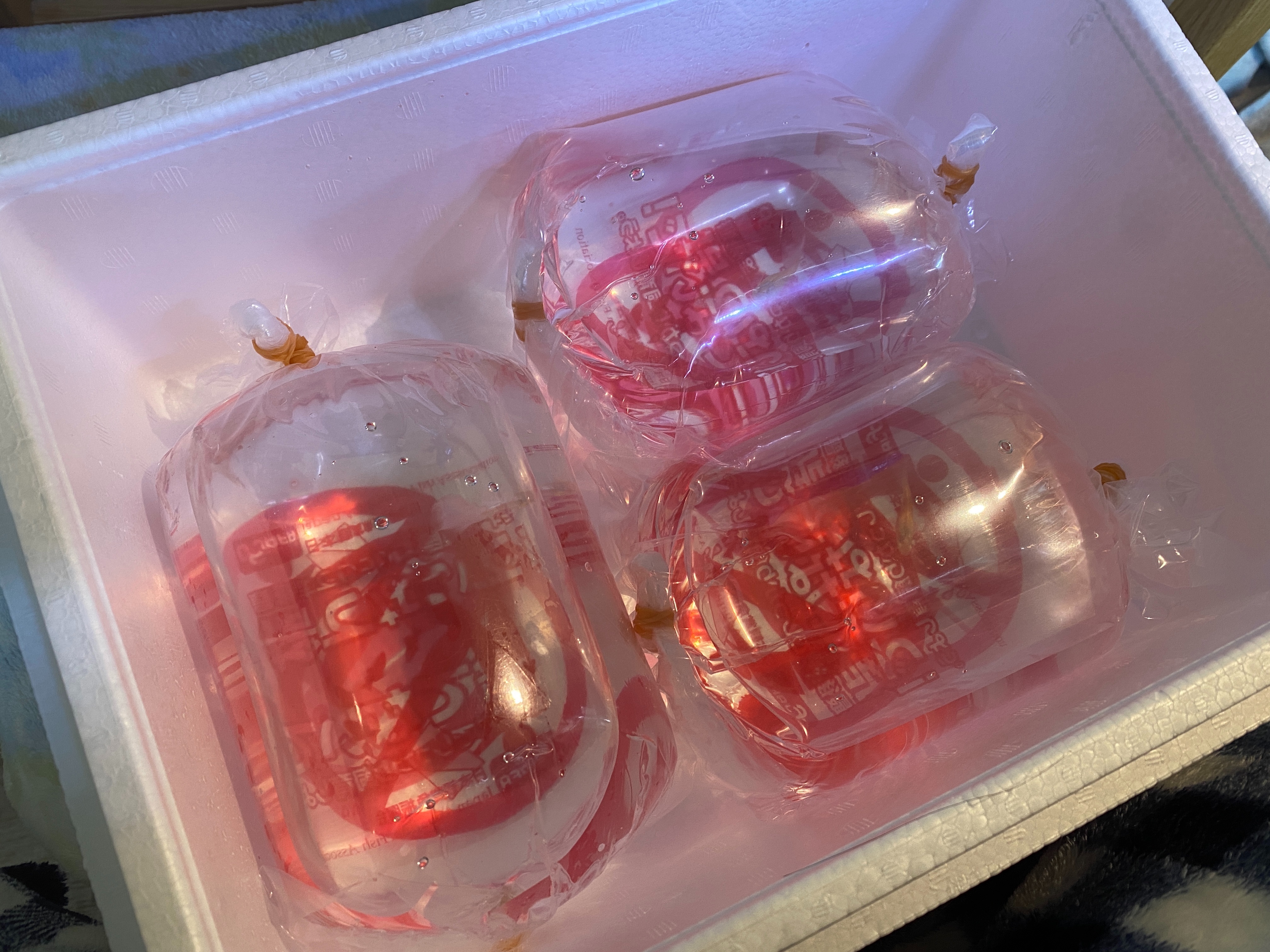 f:id:popopoppun:20221219134625j:image