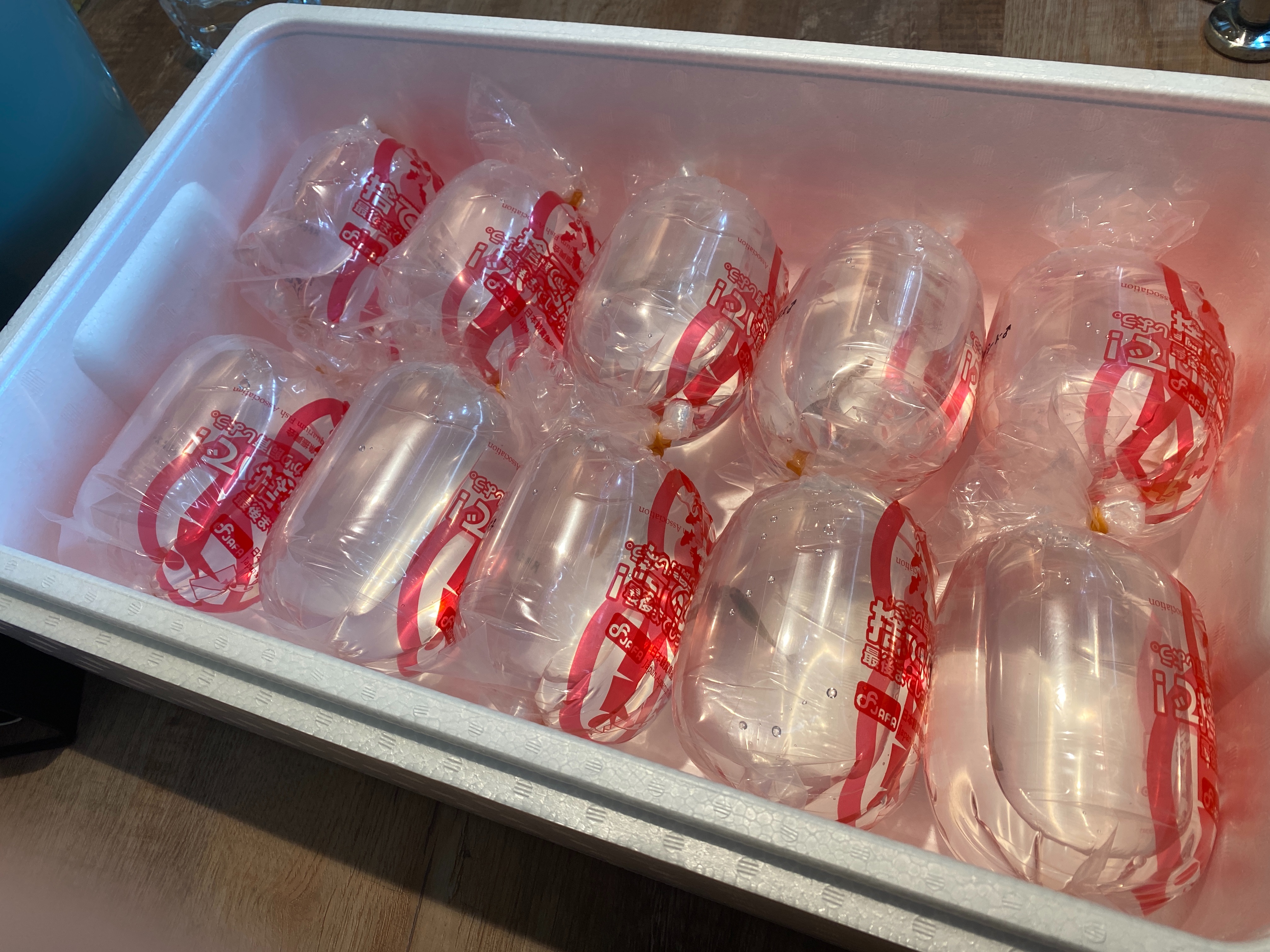 f:id:popopoppun:20221219134633j:image